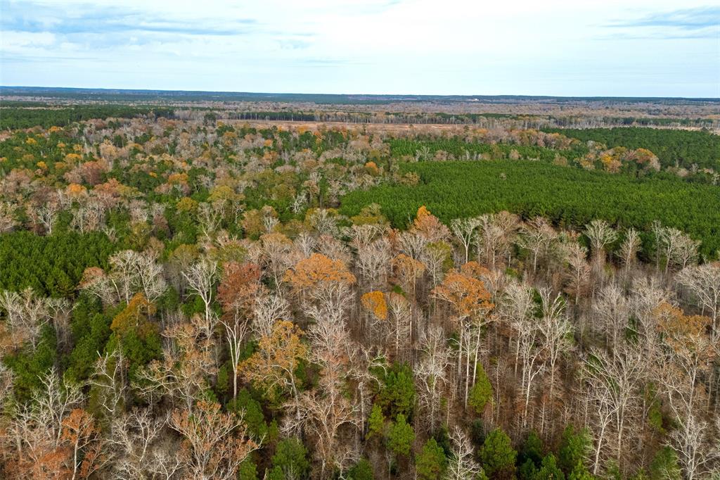 0 County Road 511 Kennard, TX 75847 - Photo 28 of 40 a view of a field with an ocean
