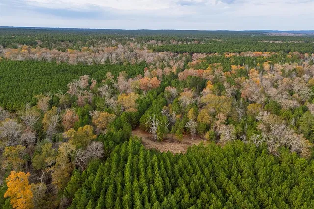 $1,590,000 | 0 County Road 511, Kennard, TX 75847