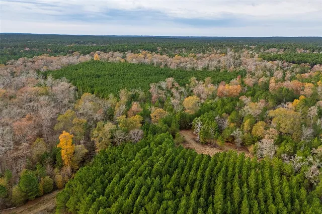 $1,590,000 | 0 County Road 511, Kennard, TX 75847