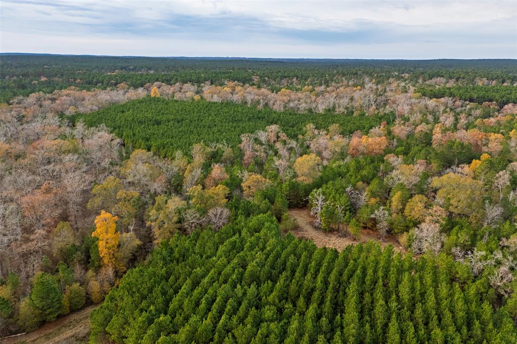 0 County Road 511 Kennard, TX 75847 - Photo 30 of 40 an aerial view of a houses with yard and lake view