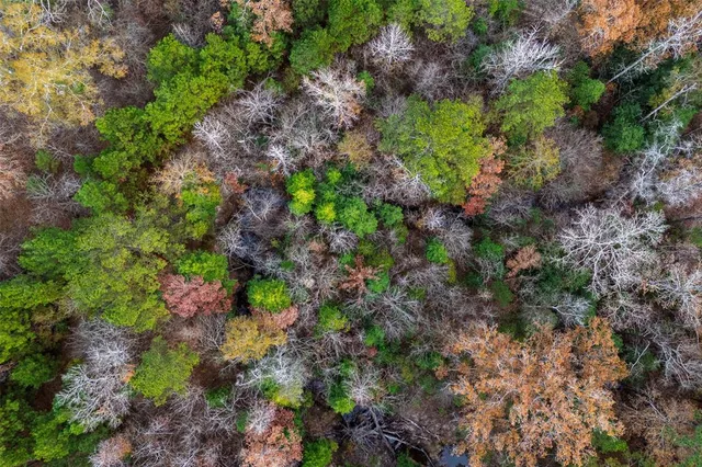 $1,590,000 | 0 County Road 511, Kennard, TX 75847