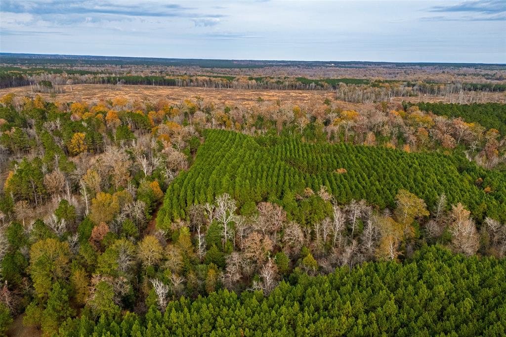 0 County Road 511 Kennard, TX 75847 - Photo 31 of 40 a view of a lake view