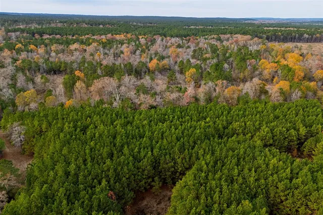 $1,590,000 | 0 County Road 511, Kennard, TX 75847