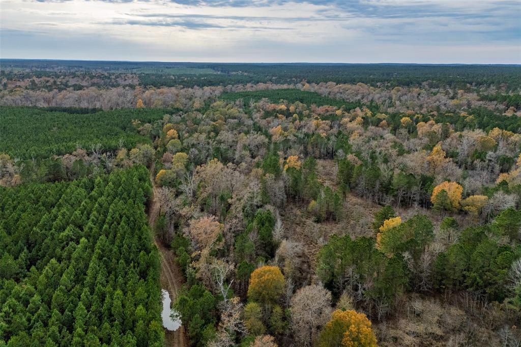 0 County Road 511 Kennard, TX 75847 - Photo 33 of 40 a view of a city with lush green forest