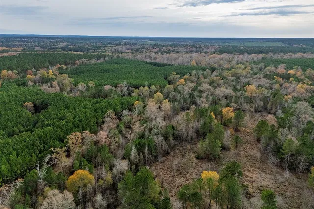 $1,590,000 | 0 County Road 511, Kennard, TX 75847