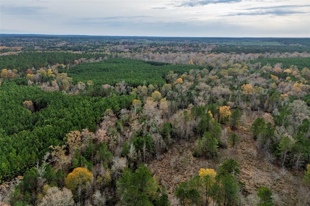 0 County Road 511 Kennard, TX 75847 - Photo 34 of 40 an aerial view of multiple house with a yard