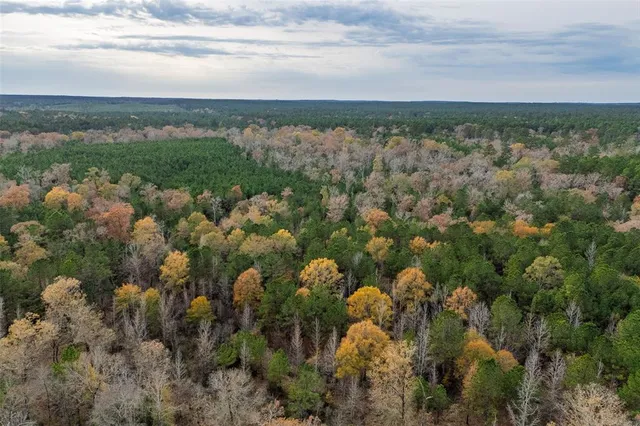 $1,590,000 | 0 County Road 511, Kennard, TX 75847