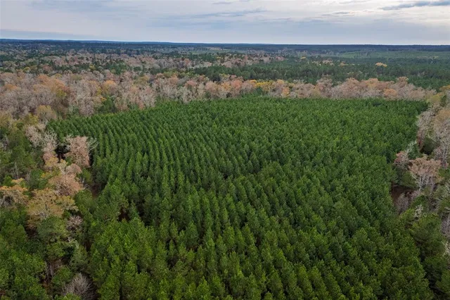 $1,590,000 | 0 County Road 511, Kennard, TX 75847