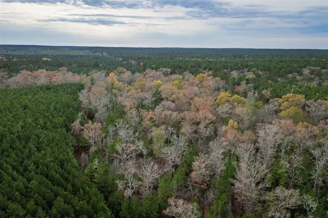 $1,590,000 | 0 County Road 511, Kennard, TX 75847