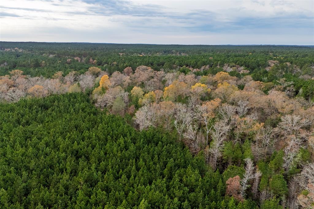 0 County Road 511 Kennard, TX 75847 - Photo 38 of 40 a view of a city with lush green forest