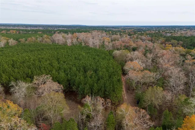 $1,590,000 | 0 County Road 511, Kennard, TX 75847