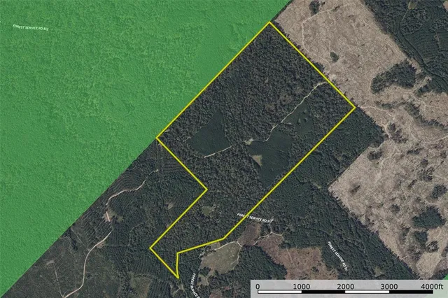 $1,590,000 | 0 County Road 511, Kennard, TX 75847