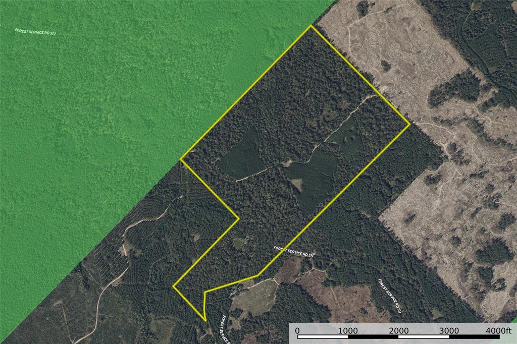 0 County Road 511 Kennard, TX 75847 - Photo 40 of 40 a aerial view of a house