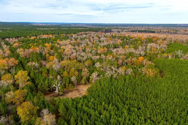 $1,590,000 | 0 County Road 511, Kennard, TX 75847