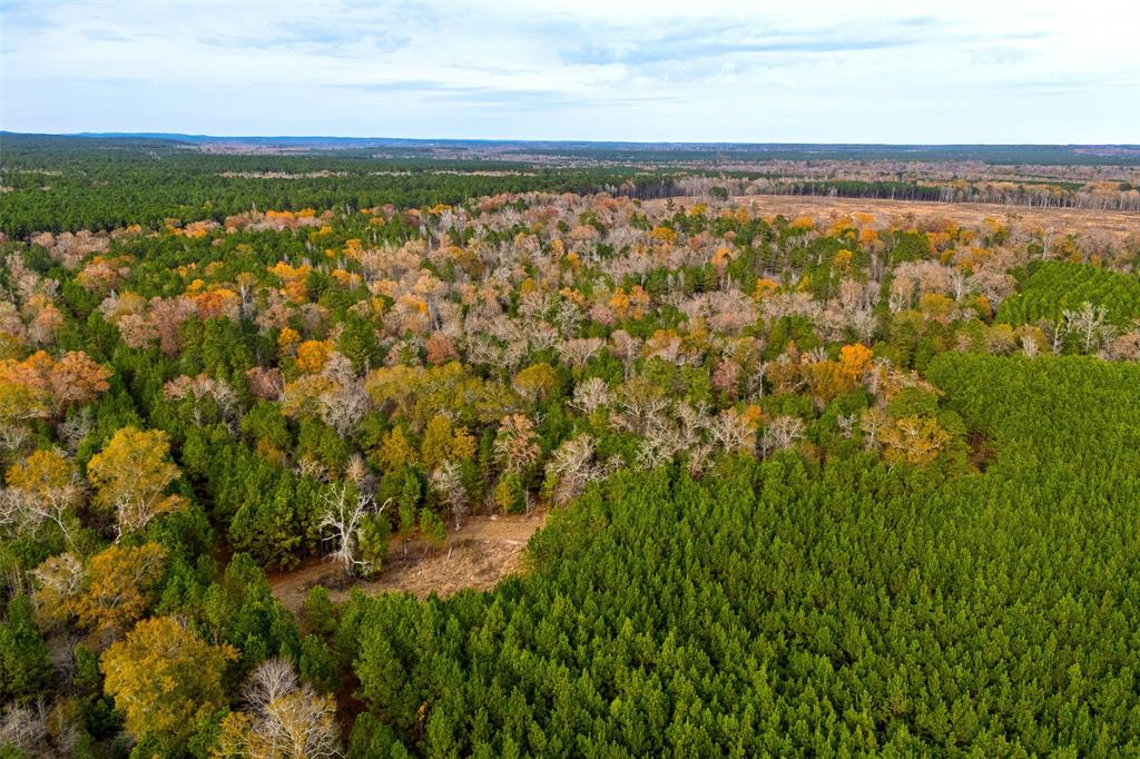 0 County Road 511 Kennard, TX 75847 - Photo 6 of 40 a view of an outdoor space and a lake view
