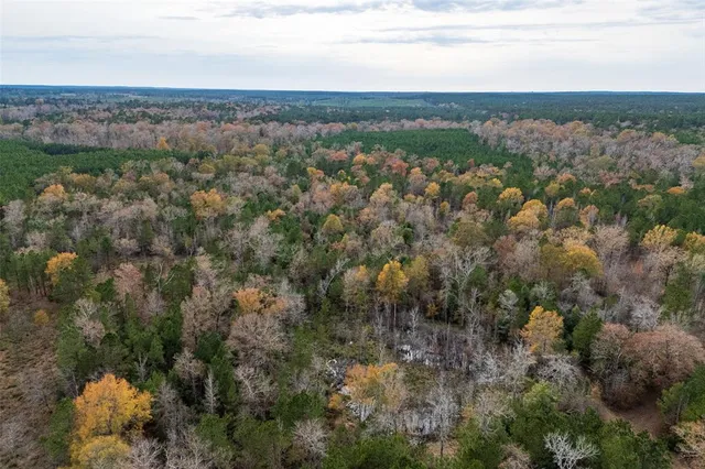 $1,590,000 | 0 County Road 511, Kennard, TX 75847