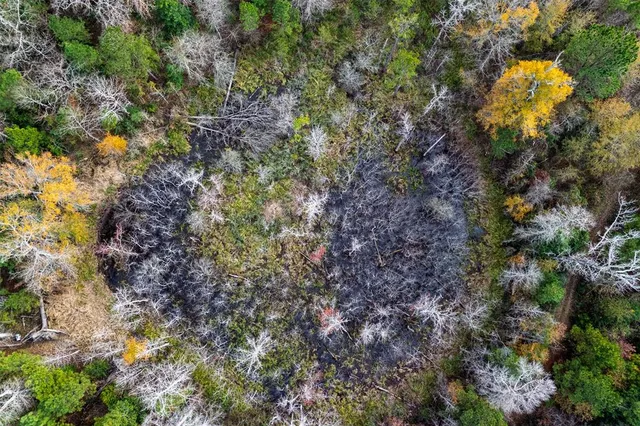 $1,590,000 | 0 County Road 511, Kennard, TX 75847