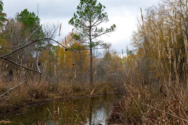 $1,590,000 | 0 County Road 511, Kennard, TX 75847