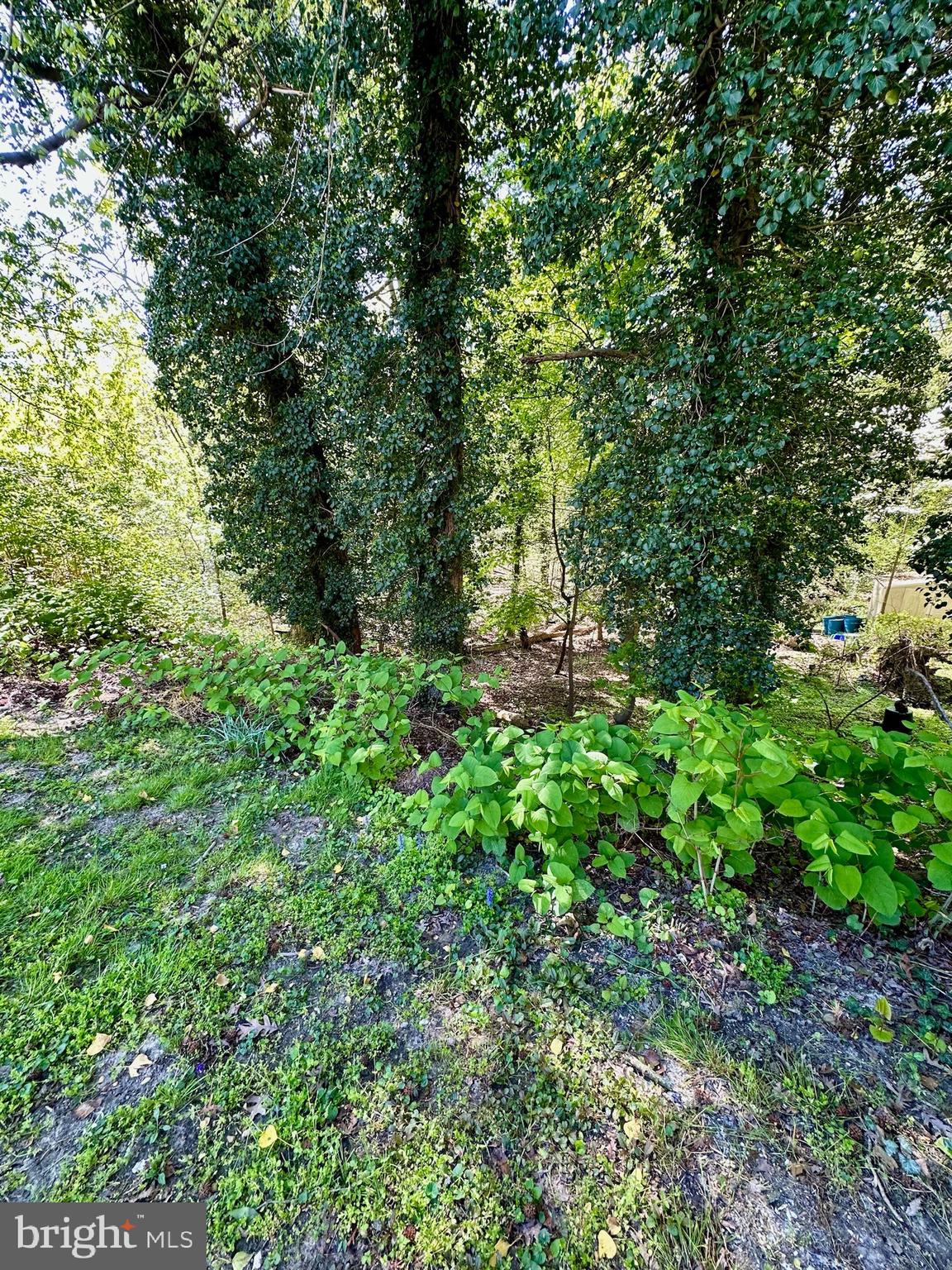 19 Indian Spring Road Clementon, NJ 08021 - Photo 14 of 35