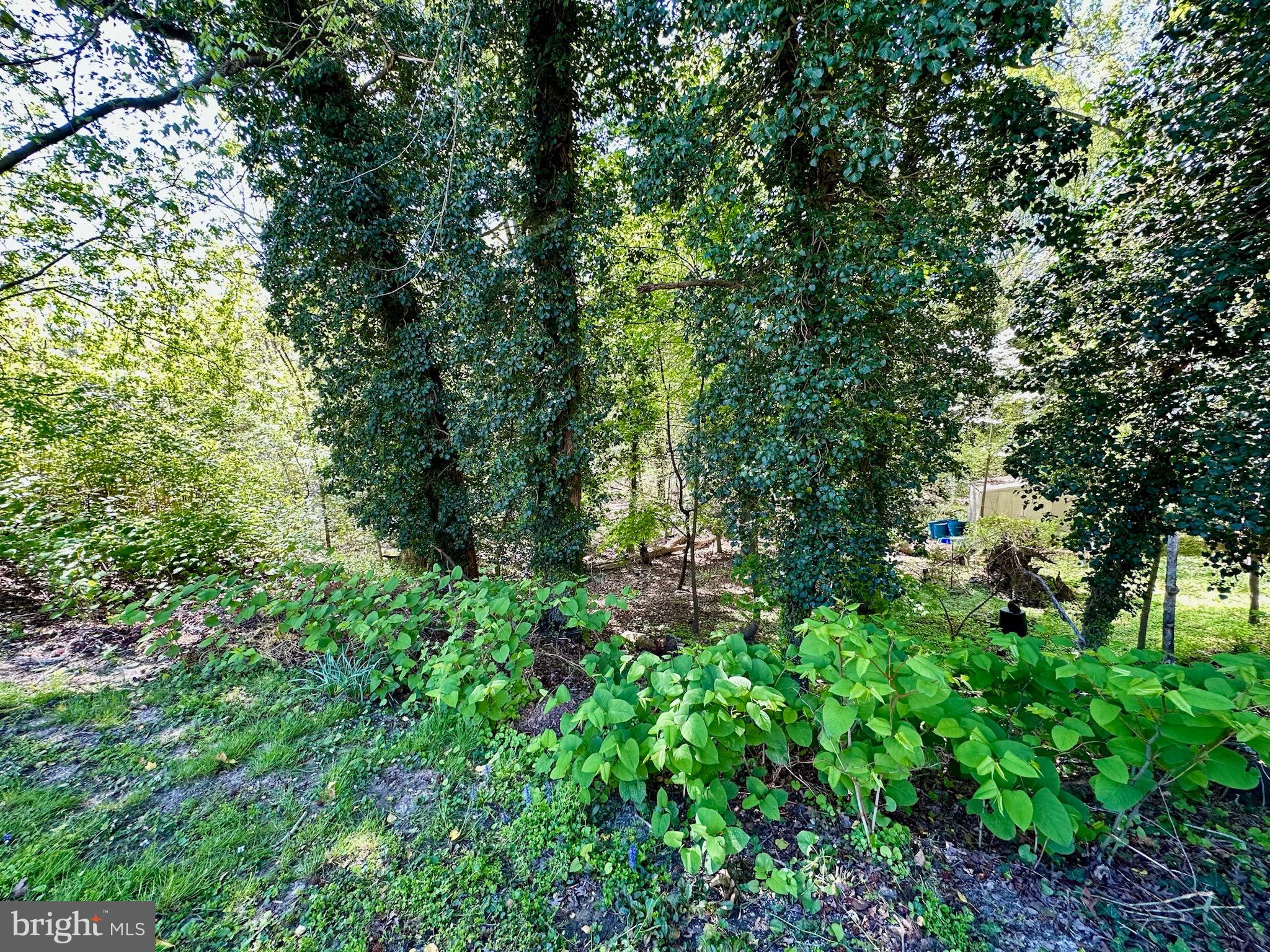 19 Indian Spring Road Clementon, NJ 08021 - Photo 28 of 35