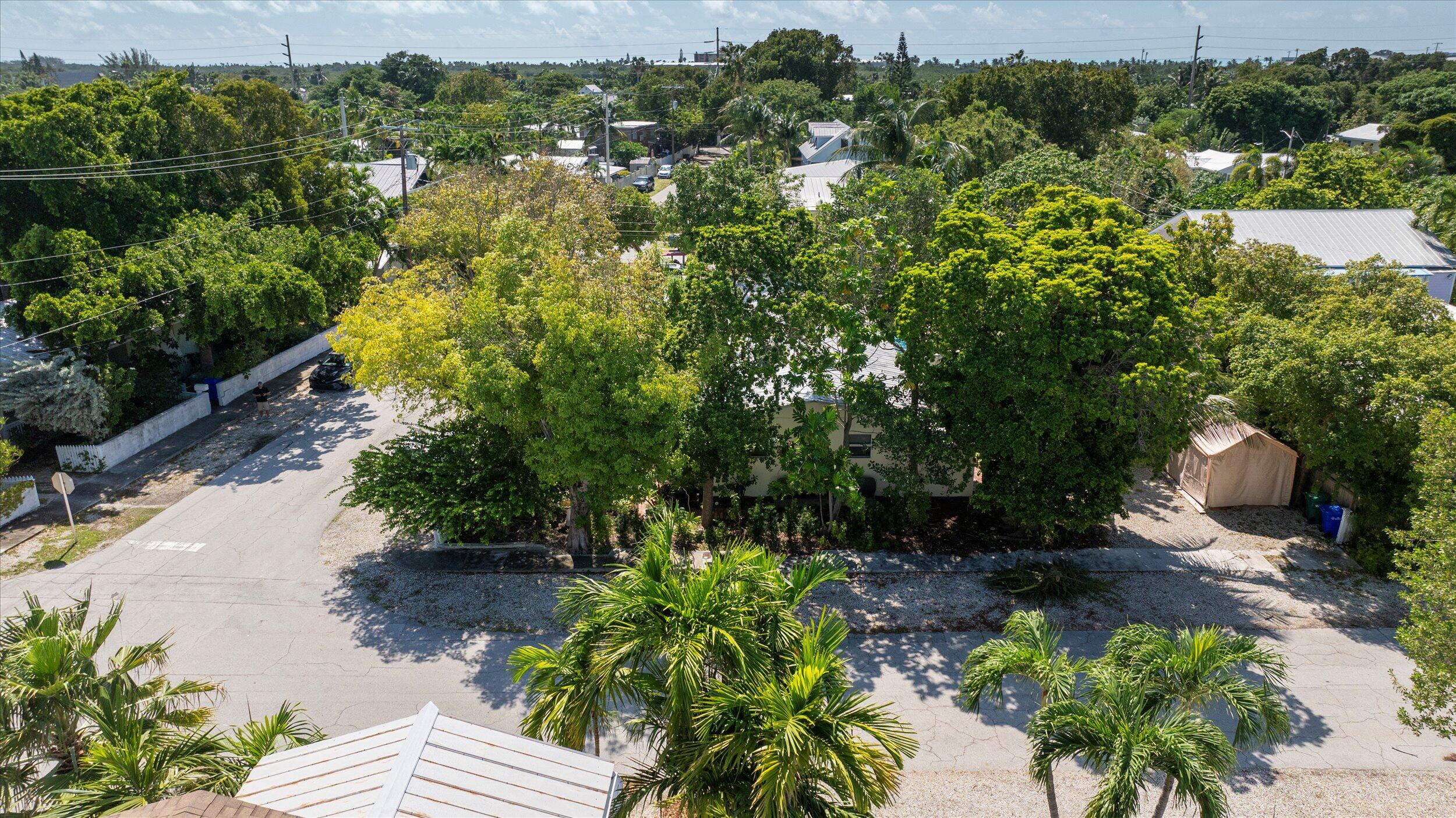 1320 6th Street Key West, FL 33040 - Photo 58 of 61 a view of a garden with plants and large trees