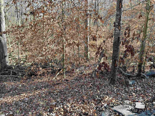 $16,900 | 0 Sutton Cove Court, Unit LOT 72, Westminster, SC 29693