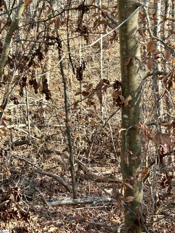 $16,900 | 0 Sutton Cove Court, Unit LOT 72, Westminster, SC 29693