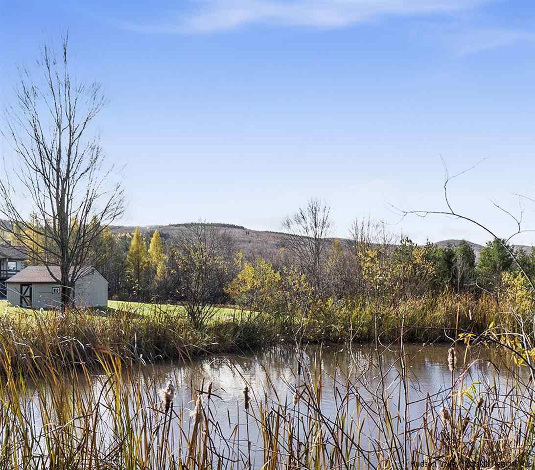 202 Bluebird Road Conesville, NY 12076 - Photo 4 of 34 Photo 4