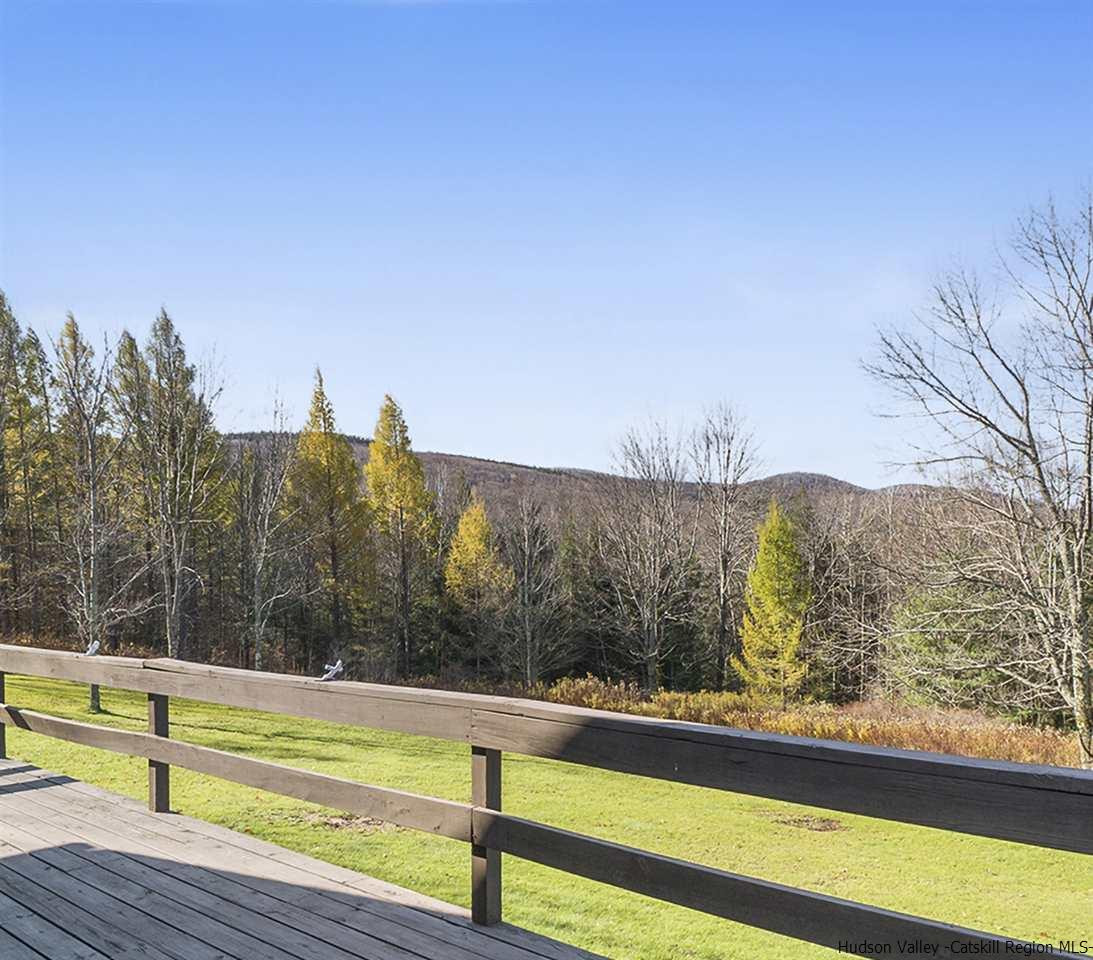 202 Bluebird Road Conesville, NY 12076 - Photo 6 of 34 Photo 6