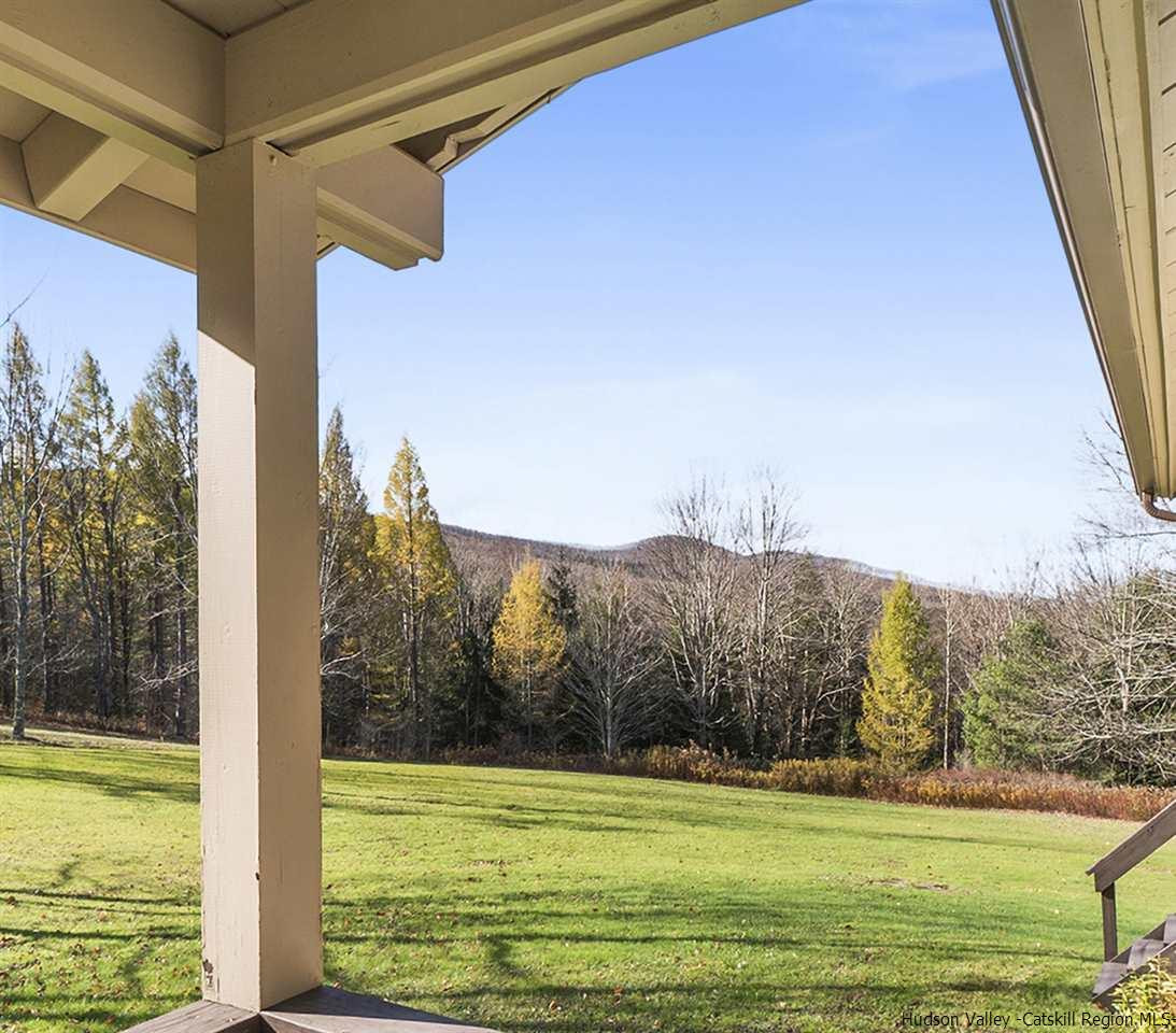 202 Bluebird Road Conesville, NY 12076 - Photo 7 of 34 Photo 7