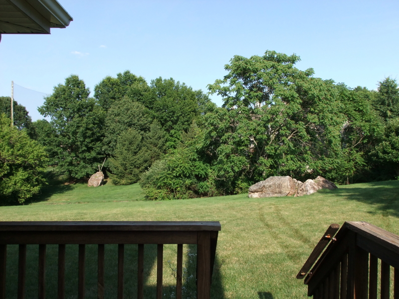12 Roxiticus Court Annandale, NJ 08801 - Photo 22 of 23