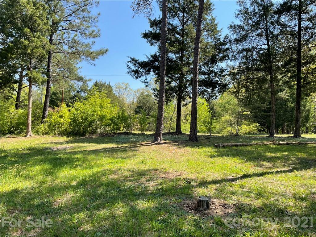 4794 Blade Run Road Edgemoor, SC 29712 - Photo 5 of 20 a view of a yard with palm trees