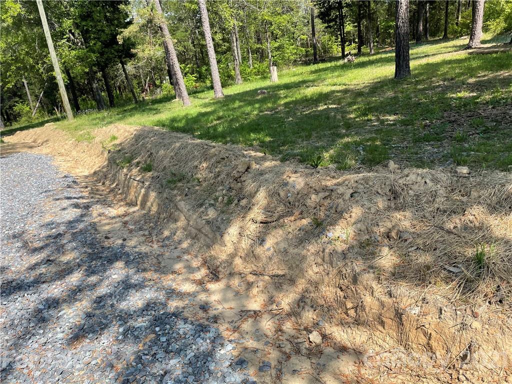 4794 Blade Run Road Edgemoor, SC 29712 - Photo 6 of 20 a view of a yard with a tree
