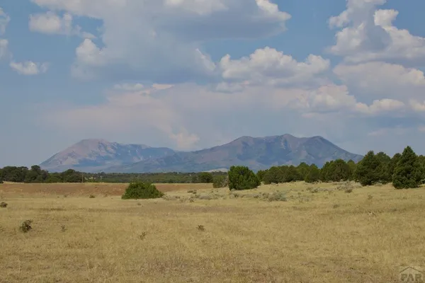 $29,500 | Unit #4 Unit Road, Walsenburg, CO 81089