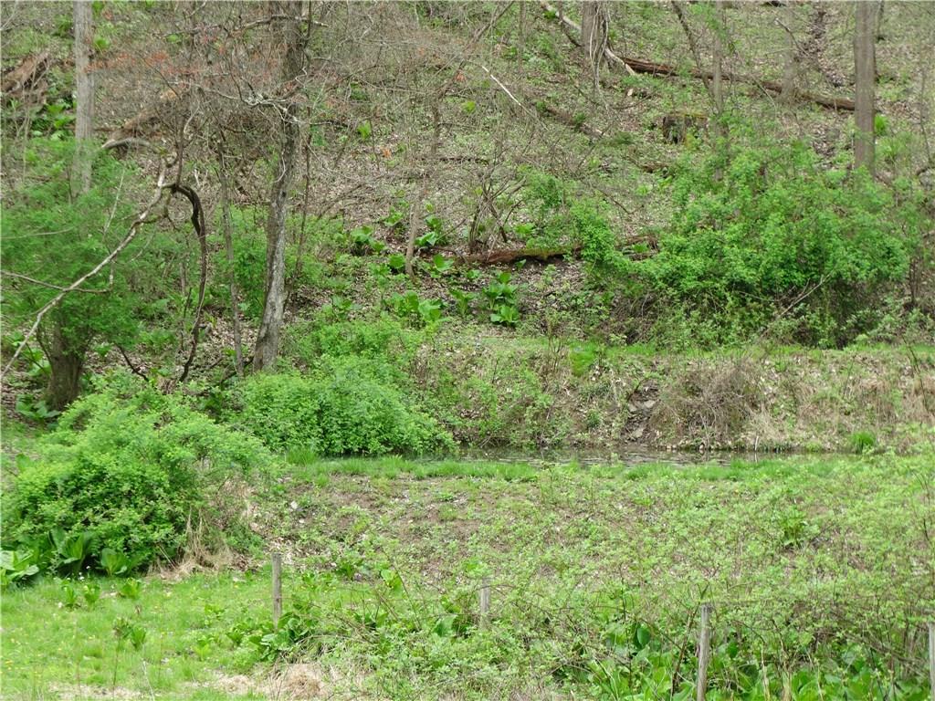 132 Christy Road Saxonburg, PA 16056 - Photo 16 of 23 Pond located behind garage