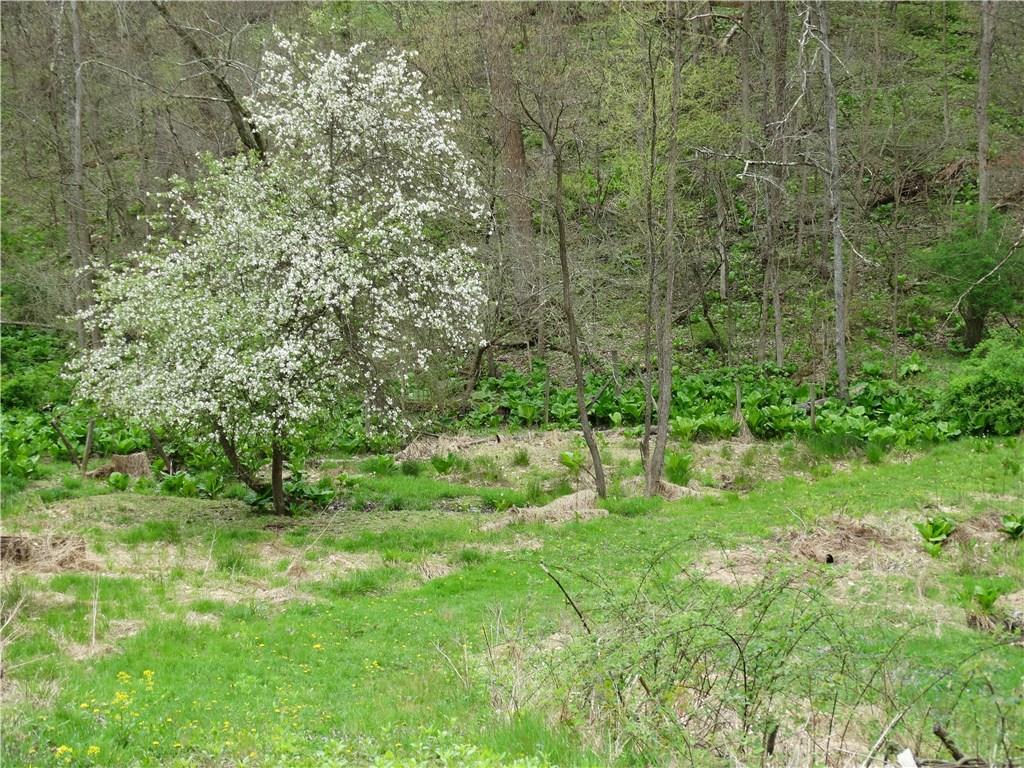 132 Christy Road Saxonburg, PA 16056 - Photo 17 of 23 Winding creek on property