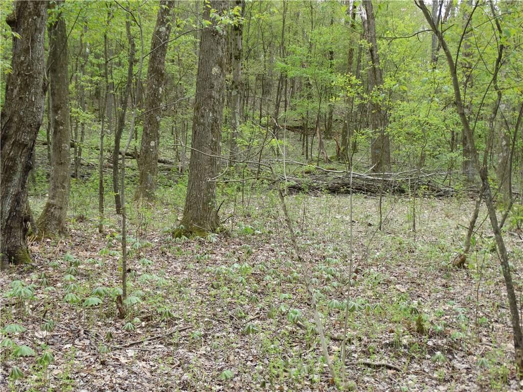 132 Christy Road Saxonburg, PA 16056 - Photo 21 of 23 Gallery Image 21