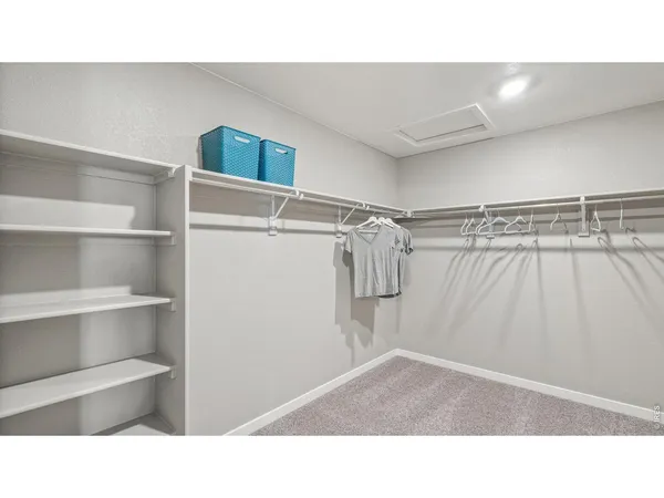 a bathroom with a sink and a shower