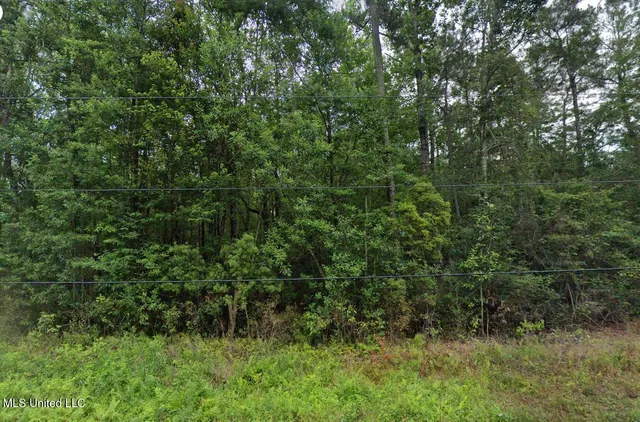 $35,000 | Nsn Dogwood Lane, Saucier, MS 39574