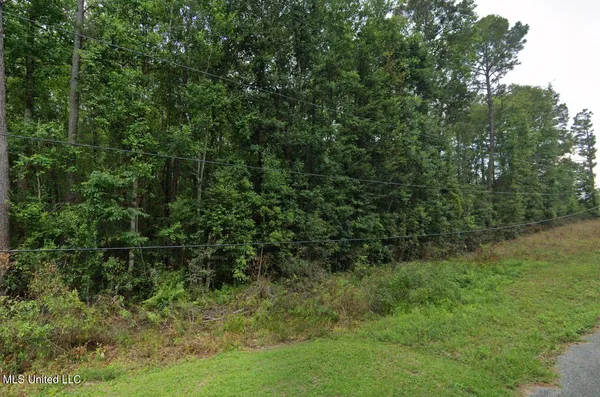 $35,000 | Nsn Dogwood Lane, Saucier, MS 39574