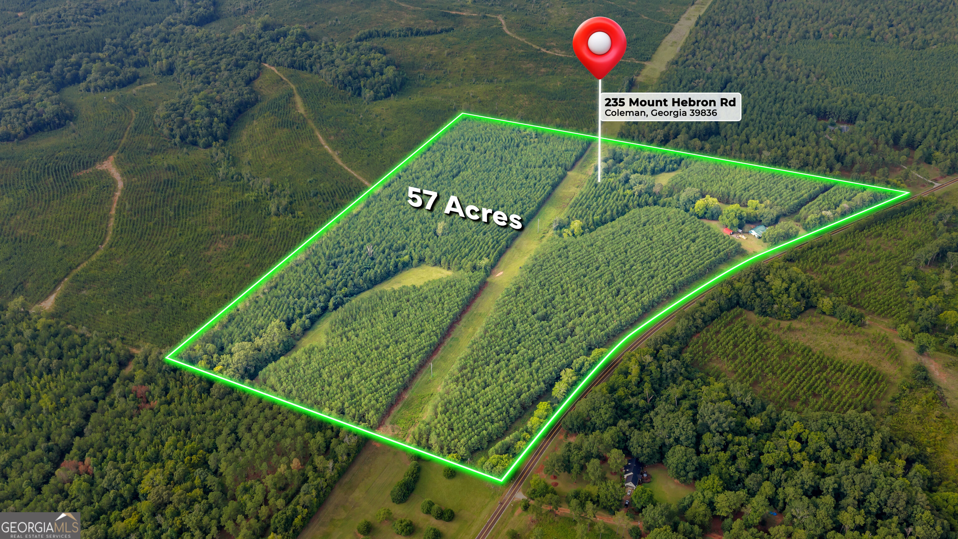 235 Mt Hebron Road Coleman, GA 39836 - Photo 2 of 82 Gallery Image 2