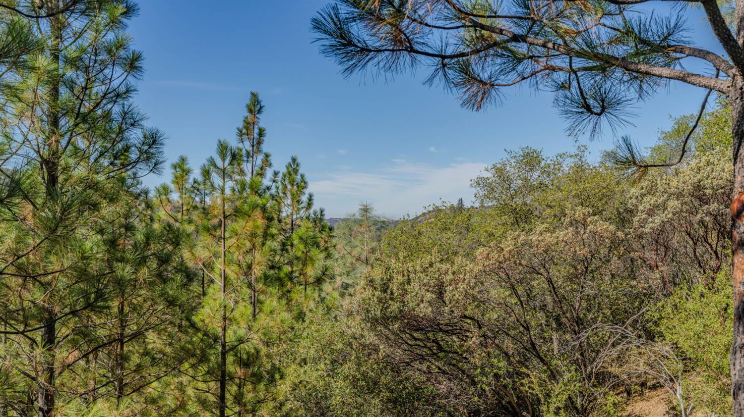 15545 Sutter Creek Road Sutter Creek, CA 95685 - Photo 75 of 81 Gallery Image 75