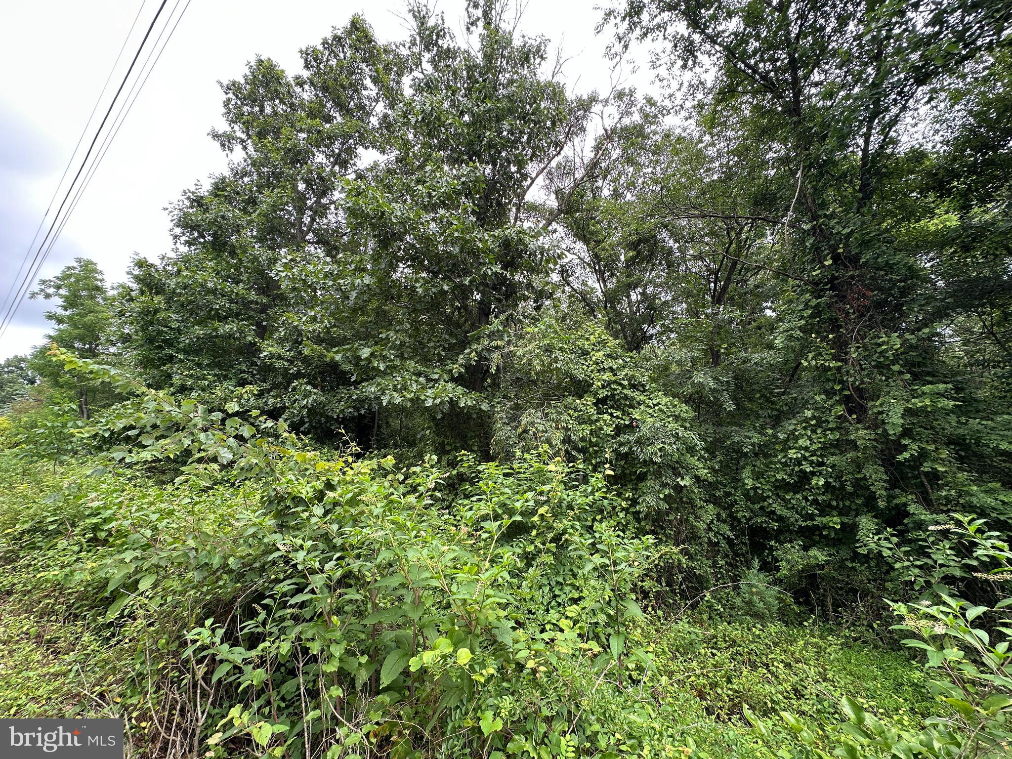 9-acres Polidor Road Waynesboro, PA 17268 - Photo 8 of 20