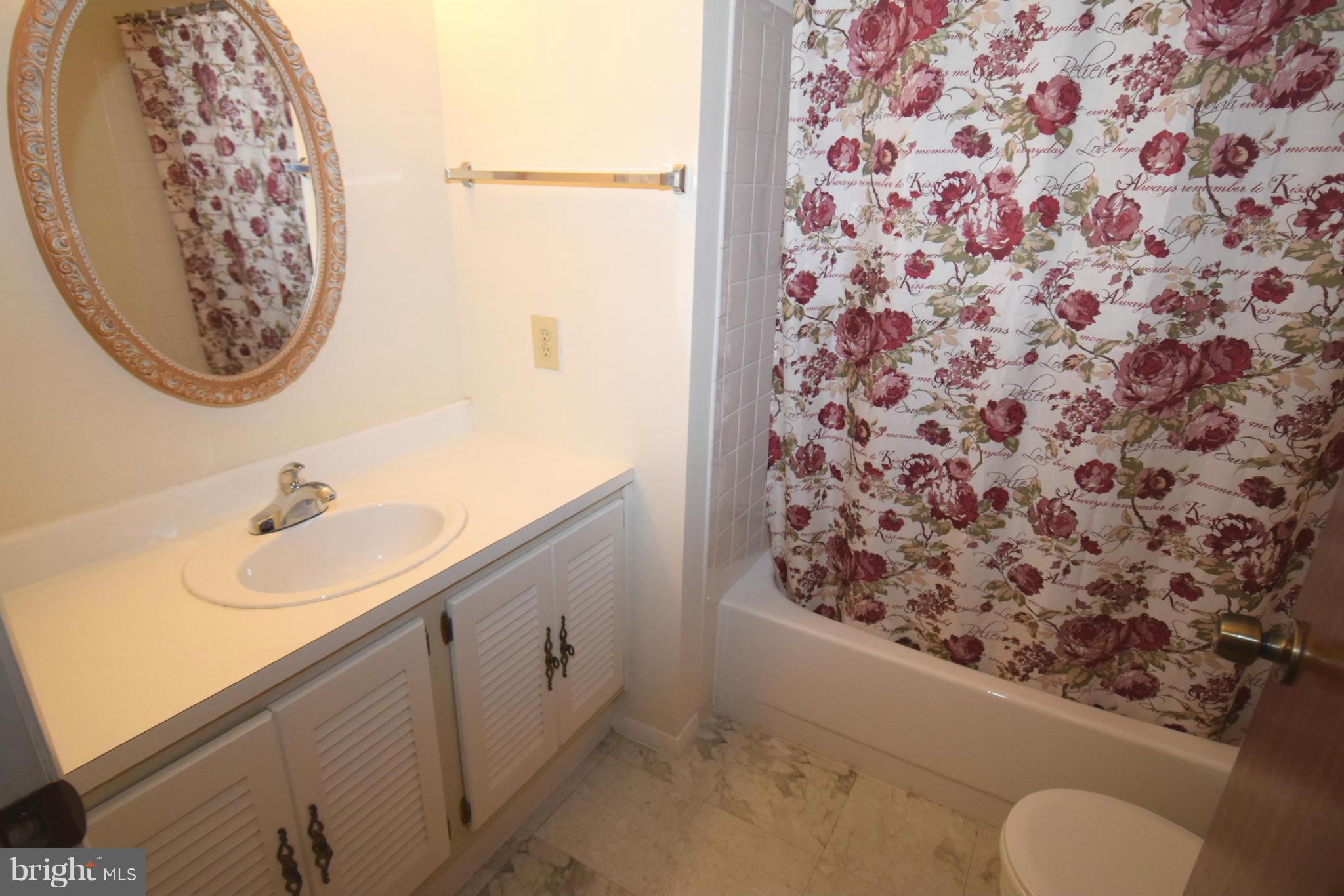 9115 Briarchip Street Laurel, MD 20708 - Photo 22 of 30 Bath Hall