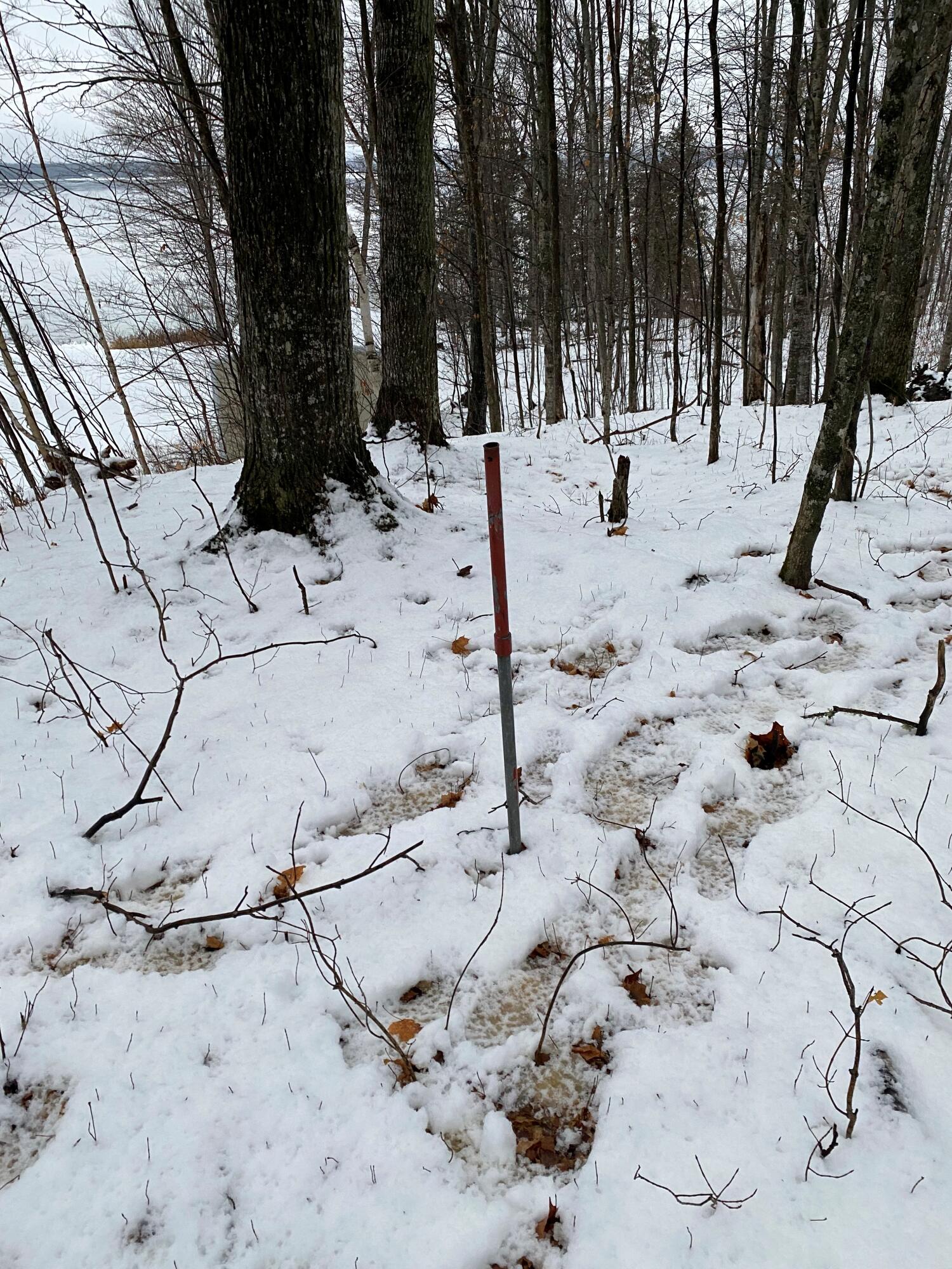 Lot 1 Needle Pointe Road Germfask, MI 49836 - Photo 11 of 20 Gallery Image 11