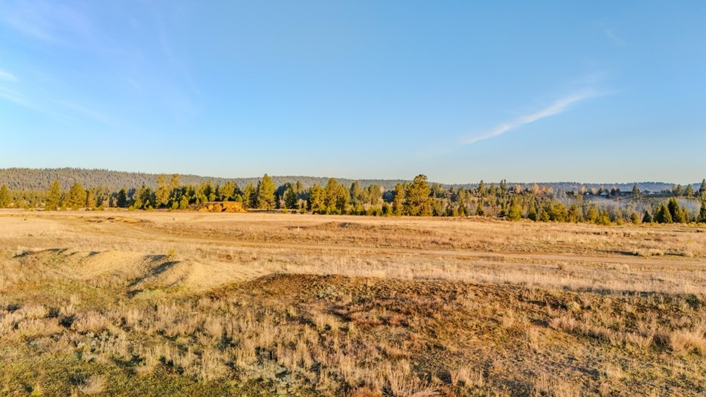 42 Rawhide Loop, Unit 42 McCall, ID 83638 - Photo 3 of 7