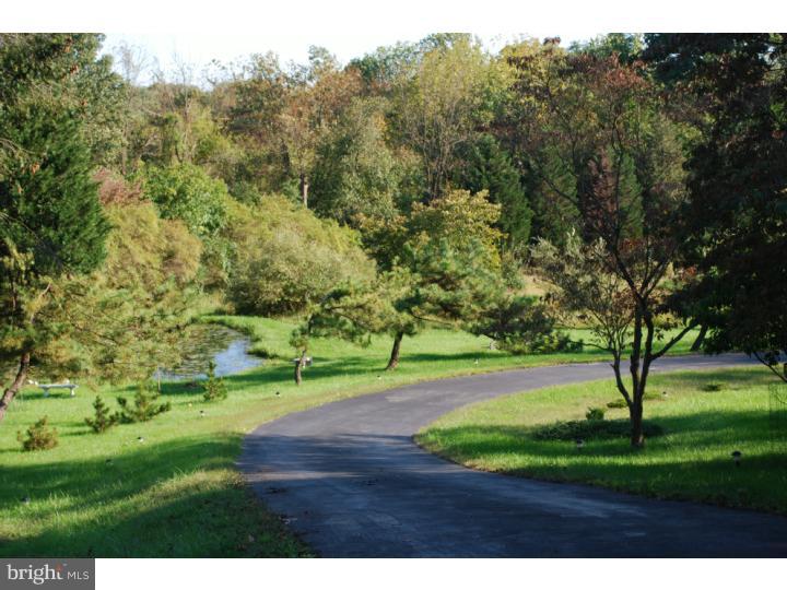 2256 Yellow Springs Road Malvern, PA 19355 - Photo 2 of 25 Driveway