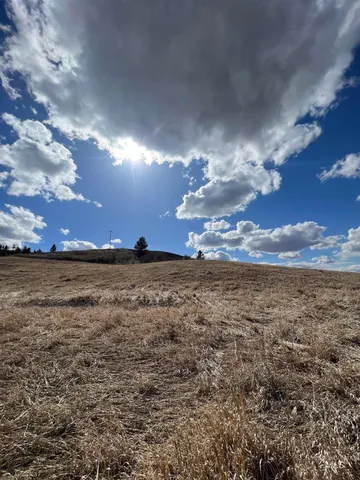 $99,000 | Nka Raven Drive, Culdesac, ID 83524