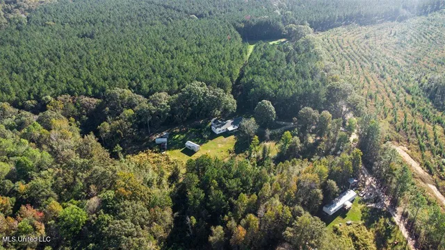 $175,000 | 55 Rayburn Pierce Road, Richton, MS 39476