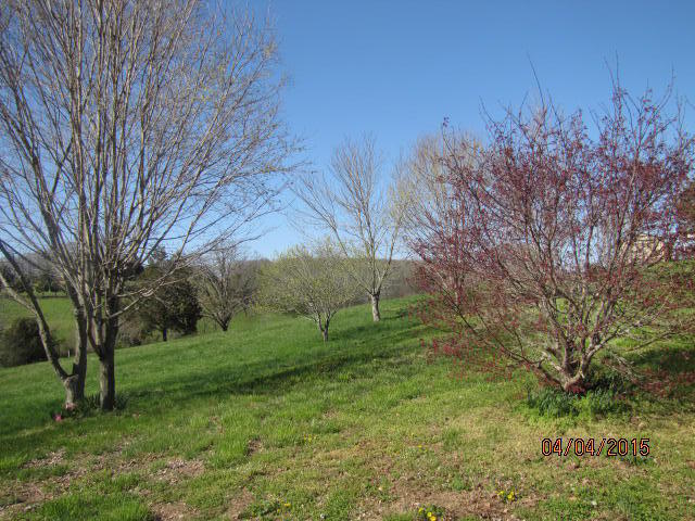 1150 Gallaher Road Philadelphia, TN 37846 - Photo 1 of 16 IMG_9797